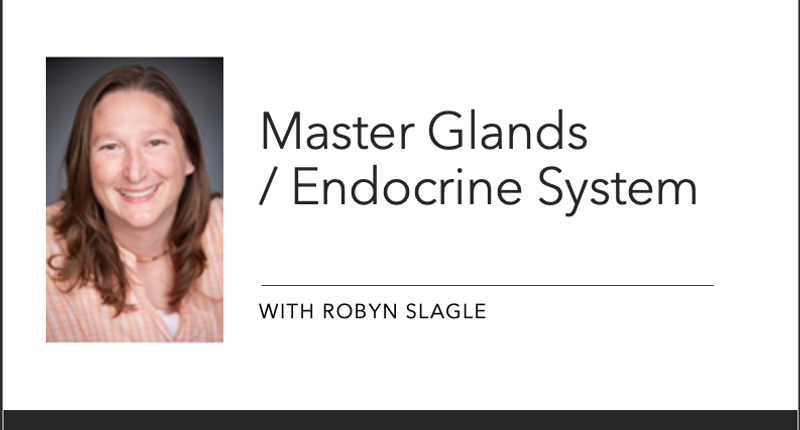 Master Glands / Endocrine System Part 1